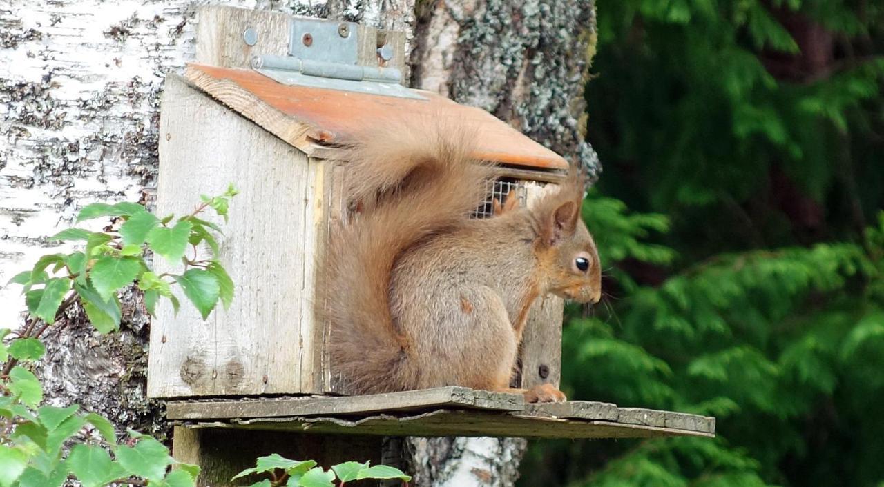 Bunroy Park Vila Fort William Exterior foto